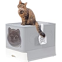 猫Love Amazon | LOVE TIME FOREVER 猫トイレ 大型 大きめ 2way出入り